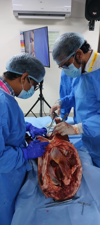 Surgery